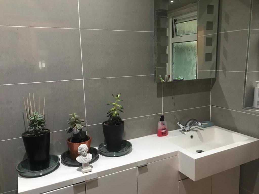 Staines-upon-Thames Serene Spacious Room מראה חיצוני תמונה