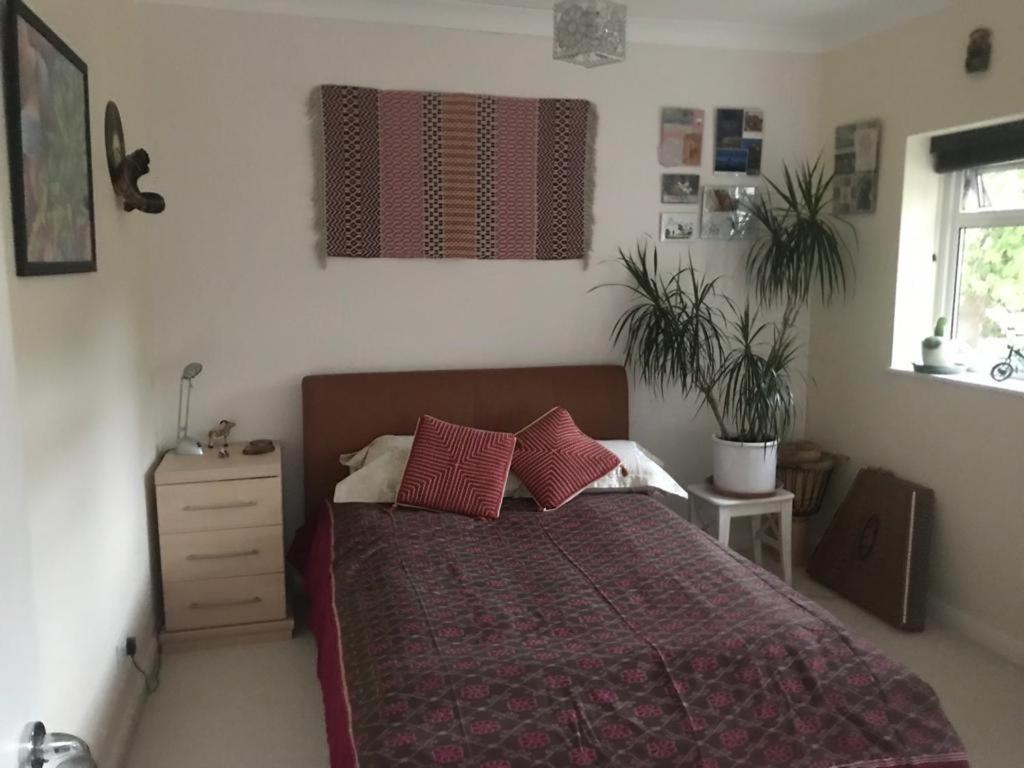 Staines-upon-Thames Serene Spacious Room מראה חיצוני תמונה